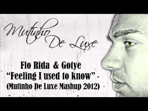 Flo Rida & Gotye - Feeling I used to know (Mutinho De Luxe Mashup 2012)