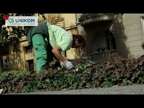 Unikom Osijek - Jesenska sadnja cvijeća