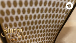 Download lagu Schau mal genau hin, ey #3 | Sturm der Liebe mp3