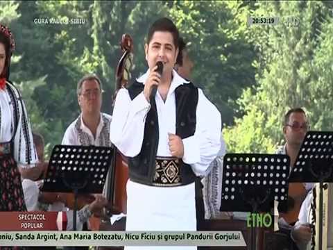 Florin Mihalache - Satule, gradina mandra -- doina- LIVE