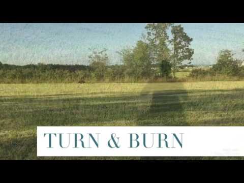 Canine Concept, Focused Dog Training video.