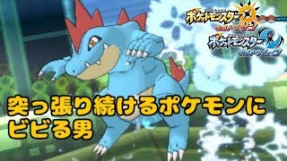 やたら突っ張るポケモン怖すぎる件【ポケモンUSUM】