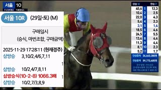 11/29 서울경마 10R 삼쌍승식 1066.3배 계산마권 패턴 김수인 마사회 아나운서 인사