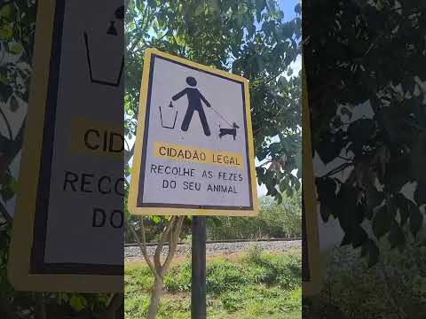 B: Maria Amália em Curvelo MG 🇧🇷#shorts