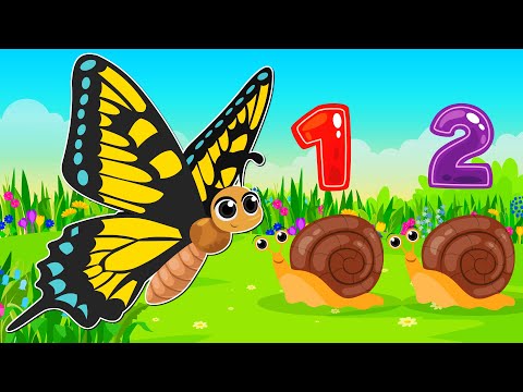 Policzmy ZWIERZĘTA NA ŁĄCE - Mieszkańcy łąki - Bajka edukacyjna dla 3 latka