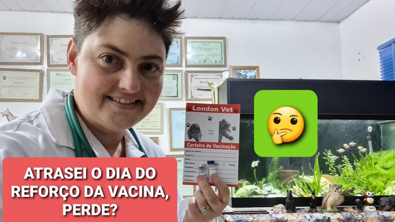 SE PASSAR O DIA DA VACINAÇÃO, TEM QUE INICIAR DE NOVO?