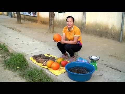 , title : 'Fish Harvest & Gac Fruit, Wild Tubers Goes to the market center sell goods | Lý Thị Ca'