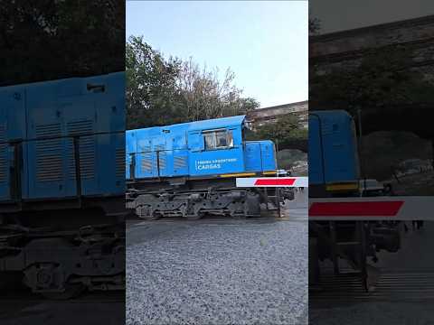 TRENES ARGENTINOS CARGAS POR SALDAN