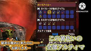 【ＭＨＸＸ】獄炎石をとりに来たはずなんだが…