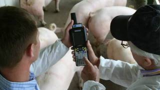 PigCHAMP Mobile Record Keeping Software For Pork Producers.