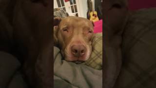 She talks in her sleep