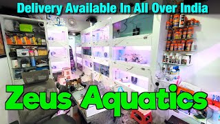 New Aquarium Fish stock at Zeus Aquatics I Delivery Available All Over India