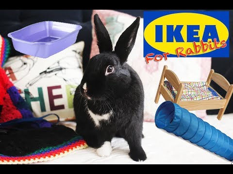 Things You Can Buy at IKEA for Rabbits!