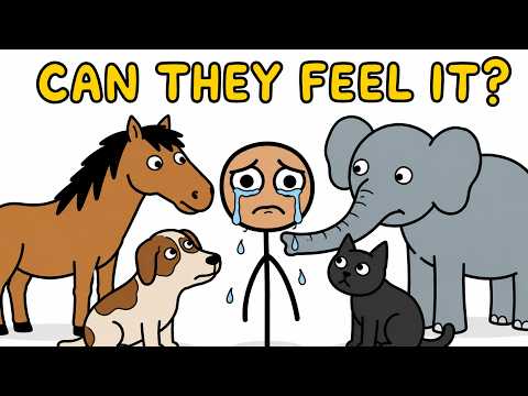 Do Animals Know They're Alive