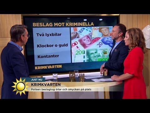 Polisens strategi: störa brottslingarna genom razzior - Nyhetsmorgon (TV4)