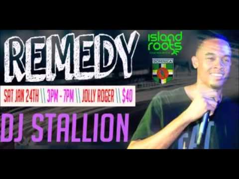 DJ Stallion REMEDY Teaser Jan 2015 #StallionOnTheBeat