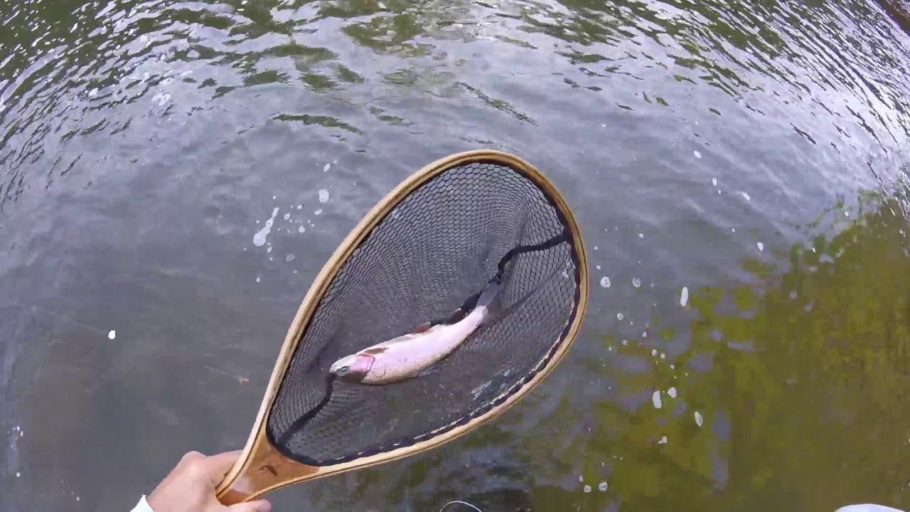 Flyfishing Penns Creek, 