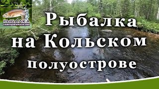 Ссылка