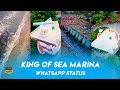 King Of The Sea Marina Beach Vada Chennai Drone Shoot