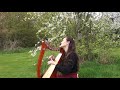Evacuee - Enya (Small Harp Cover)