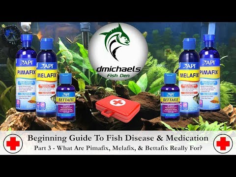 YouTube video about: Will bettafix hurt other fish?