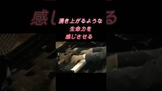 Download lagu 辻井 伸行　圧倒的な打鍵の正確性と跳躍　リスト ハンガリー狂詩曲 #ピアノ #piano mp3