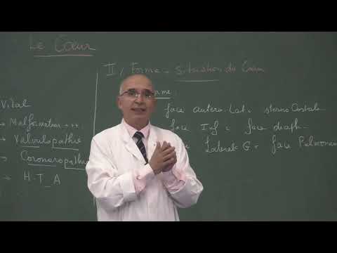 COURS ANATOMIE 7: Cœur partie 1