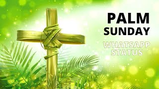 Palm Sunday Whatsapp Status Video