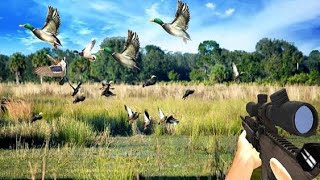 duck hunting challenge game