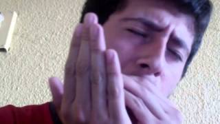 Extended techniques Blues Harp