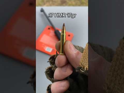 Chiappa Little Badger VS AR500 Steel Plate #gun #shooting #firearms #shorts