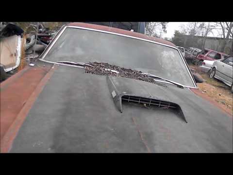 1969 Ford Mustang Mach 1 found in the junkyard!!