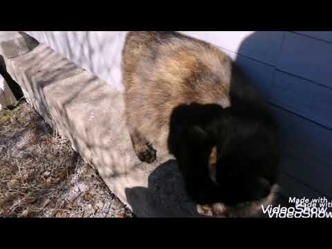 Не бегите девки замуж абы за кого. Итоги жизни с абьюзером или домашним тираном.