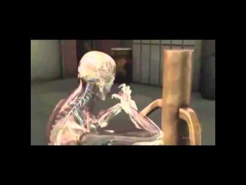 Fight Science - Tiger Style Test Results