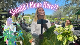 Miami Nurseries Are Built Different