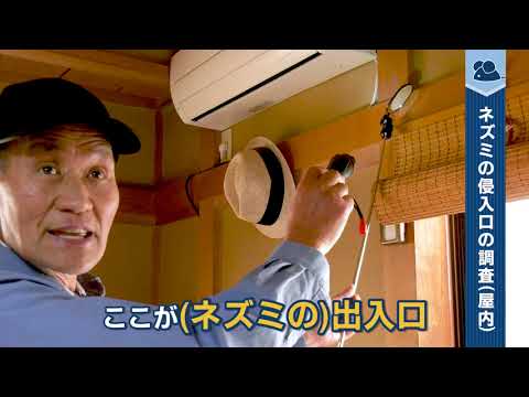 ペットボトルを使ってネズミを追い払うことができたらどうしますか?使用説明書！  庭園