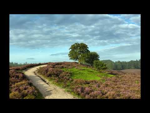 Frédéric Monteil  Ne m’en parle pas