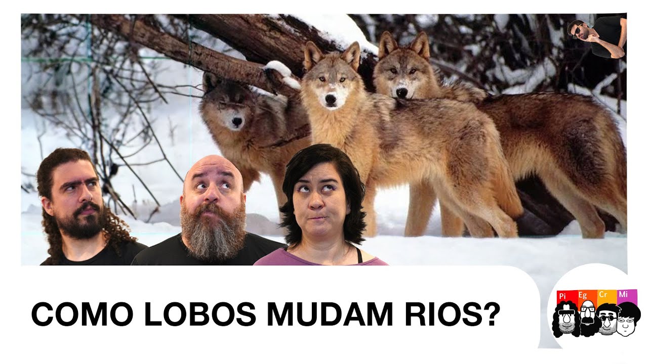 Como LOBOS MUDAM RIOS?