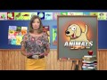 Tips For Kids ANIMALS
