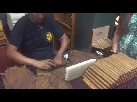 Cuban Tobacco and Cigar Company - Bello