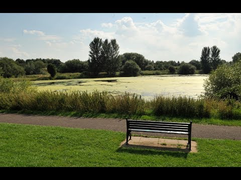 P olice hunt for man who tried to r ape 11 year old in park at k nifepoint