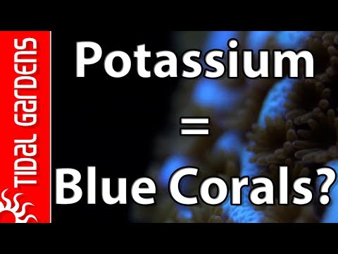 Why you should be aware of Potassium in your reef tank