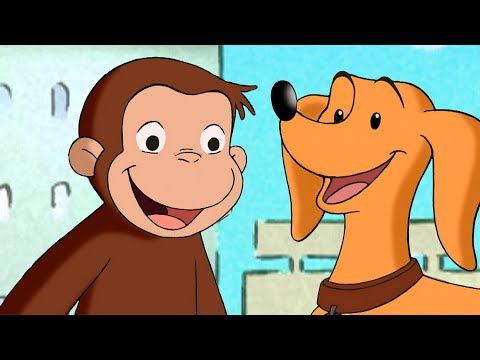 Verfolge dieses Spielzeug! | Coco der Neugierige | Cartoons für Kinder