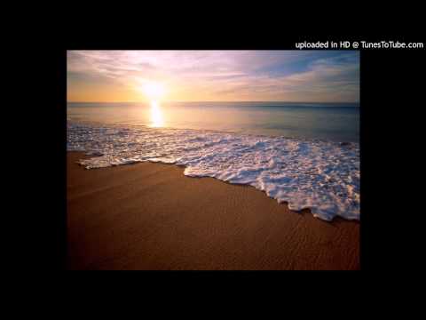 Shiny Goose - Amnesia (Sarkozy Vocal mix)