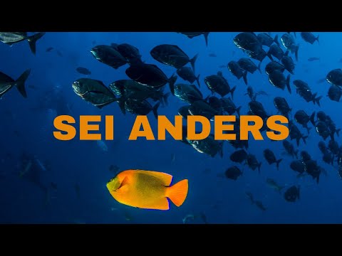 BE DIFFERENT, BE YOURSELF - Motivation German