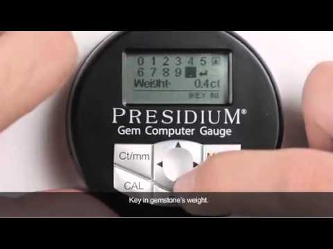 Presidium Gem Computer Gauge (PGCG)