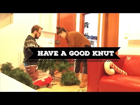 What is the KNUT'? | Celebrating KNUT's day