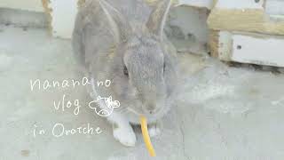 【VLOG】自然と動物と癒しの休日🐮🥛