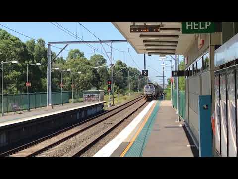 QUBE MZ1431 leads port botany to minto shuttle train.