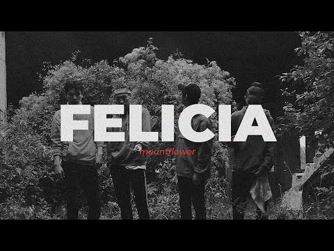mountflower - felicia.